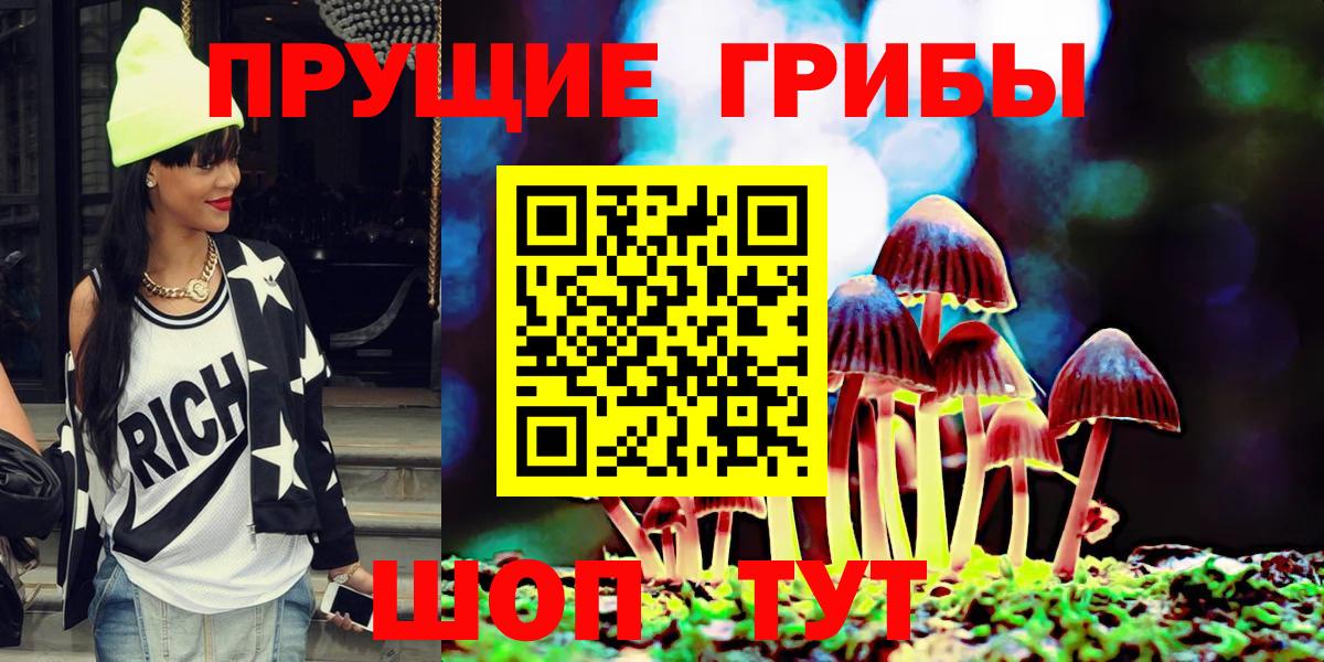 Северск  Галлюциногенные грибы Psilocybine cubensis  Вход с VPN 
